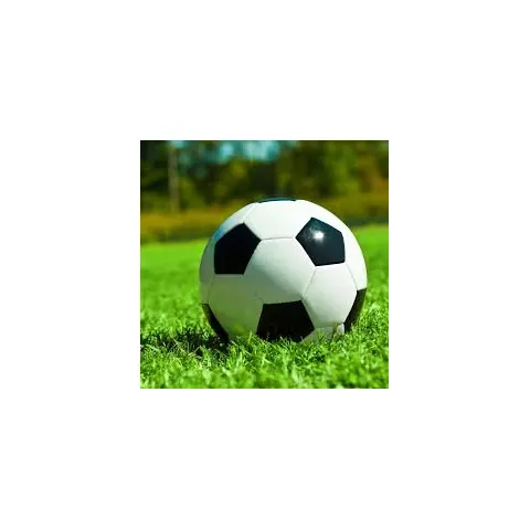 球盟会胡金秋的篮球之路：从青涩少年到CBA明星的成长历程与心路历程